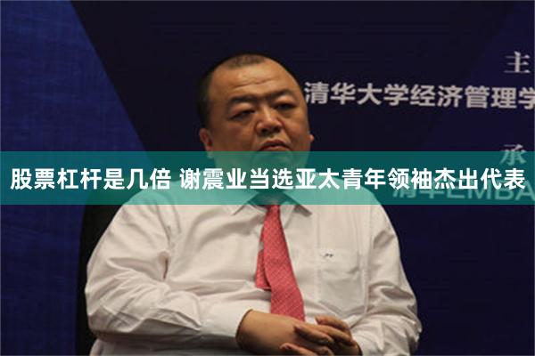 股票杠杆是几倍 谢震业当选亚太青年领袖杰出代表