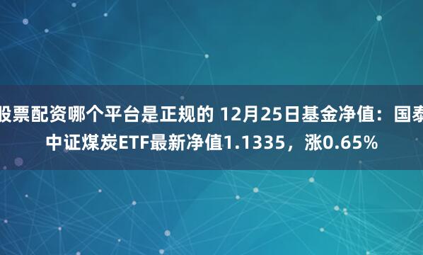 股票配资哪个平台是正规的 12月25日基金净值：国泰中证煤炭ETF最新净值1.1335，涨0.65%