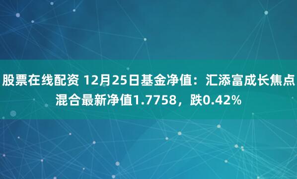 股票在线配资 12月25日基金净值：汇添富成长焦点混合最新净值1.7758，跌0.42%