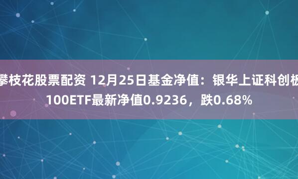 攀枝花股票配资 12月25日基金净值：银华上证科创板100ETF最新净值0.9236，跌0.68%