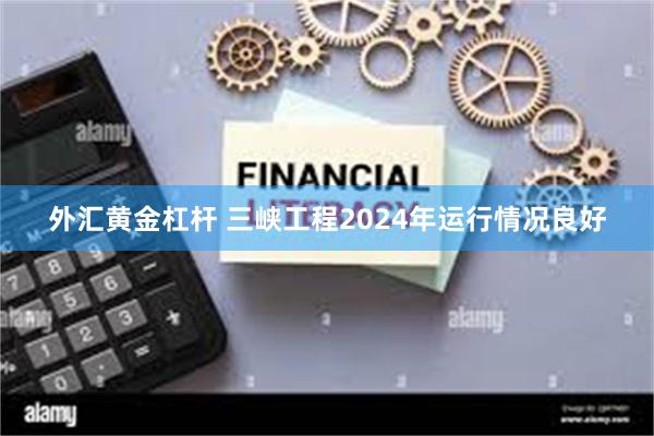 外汇黄金杠杆 三峡工程2024年运行情况良好