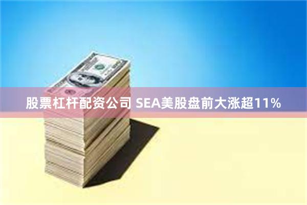 股票杠杆配资公司 SEA美股盘前大涨超11%